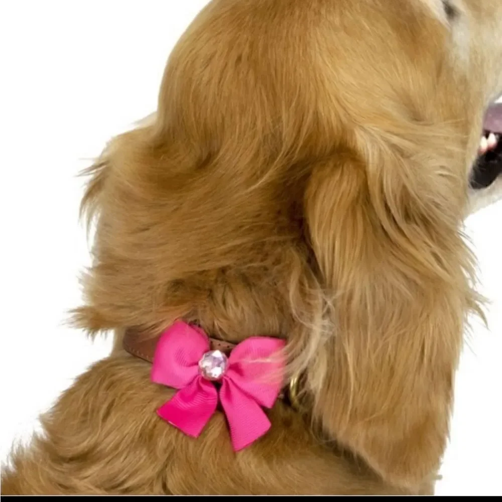 NEW! Dog Accessories Bows, flowers, and scarf
